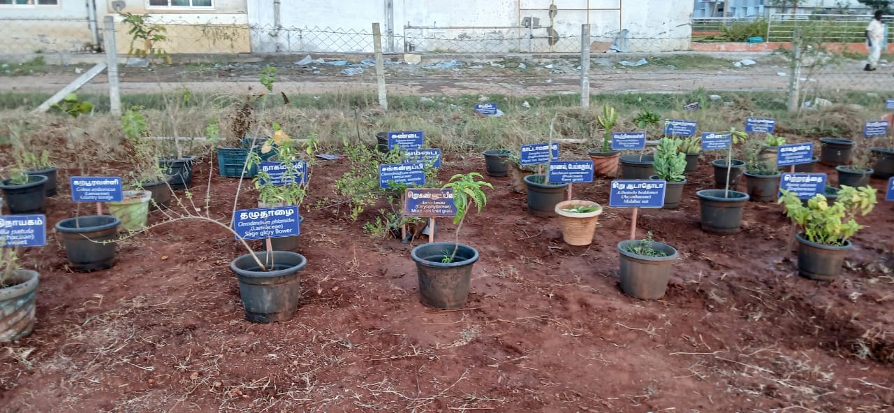 Herbal Garden